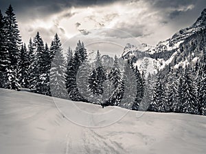 Snow and mountain