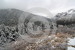 Snow, winter, wilderness, mountainous, landforms, mountain, highland, ridge, geological, phenomenon, tree, freezing, hill, sky, fe photo