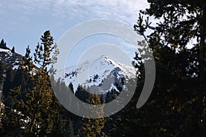 Snow Mountain with Blue Sky framed in pine trees.