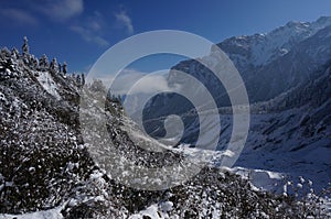 Snow Mountain in the forest