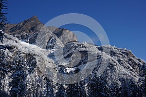 Snow Mountain in the forest