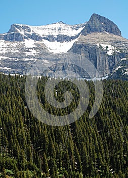 Snow mountain and forests