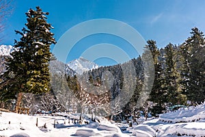 The snow mountain landscape in Pahalgam during the winter not far from Srinagar , Pahalgam , Kashmir , India