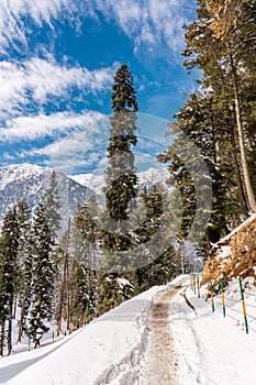 The snow mountain landscape in Sonamarg during the winter not far from Srinagar , Sonamarg , Kashmir , India