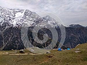 The snow on mountain look like Diamond