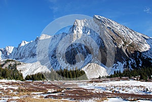 Snow mountain and meadow