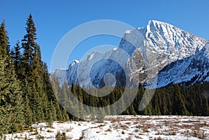 Snow mountain and meadow