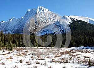 Snow mountain and meadow