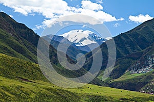 Snow mountain and pasture