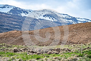 Snow mountain range at Seydisfjordur, Iceland with meadow and sand mountain in front