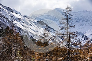 Snow mountain in Sichuan China