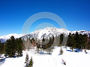 A Snow Mountain view from Shinhotaka Ropeway in Gifu Prefecture mountain park on spring day with green pine trees forest. Takayama