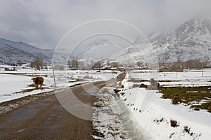 Snow Mountain Village photo