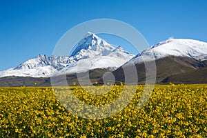 Snow Mountain ZhuoMuLaRi