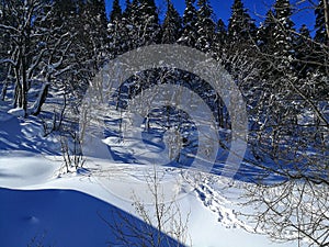 The snow mountains in Adygeya photo