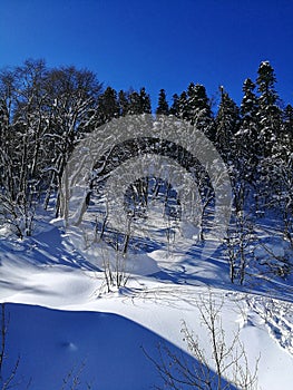 The snow mountains in Adygeya photo