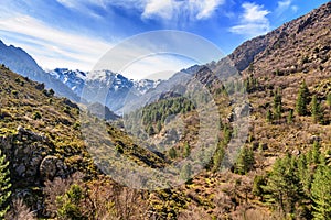 Snow mountains from Asco valley, Corsica