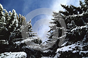 The snow on the mountains, Asiago plateau, Vicenza, Italy photo