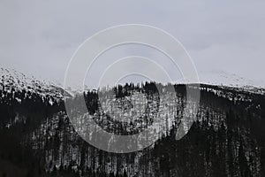 Snow mountains ski Jasna Slovakia Tatras landscapes