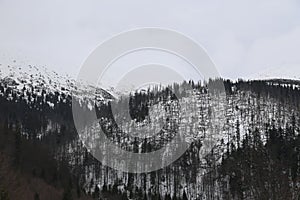 Snow mountains ski Jasna Slovakia Tatras landscapes