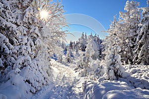 Invierno en montanas 