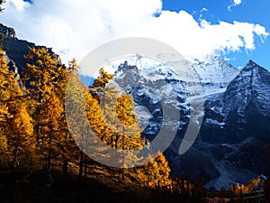 Snow moutain covered with Autumn colour photo