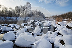 The snow mushrooms