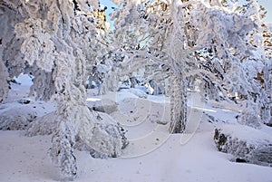 Snow in navacerrada madrid spain, photo