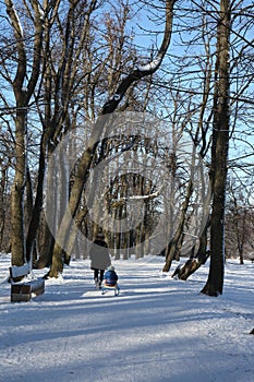 Snow in Normafa,Budapest,Hungary