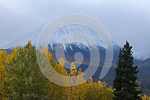 Snow obscures tops of mountains, Kluane National Park