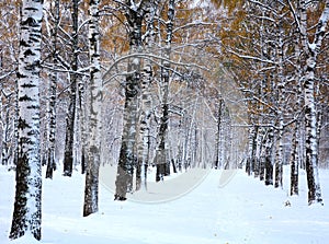 Snow in october