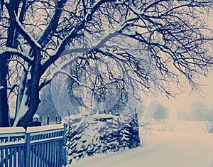 Snow on the outskirts of the village