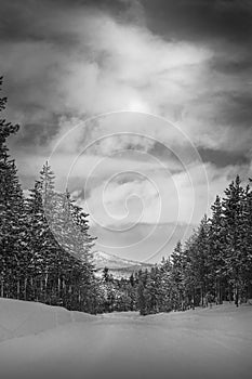 Snow packed road at Island park Idaho