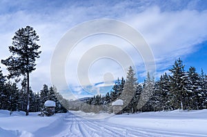 Snow packed road at Island park Idaho photo