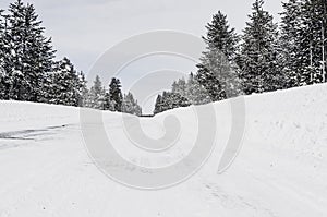 Snow packed road at Island park Idaho