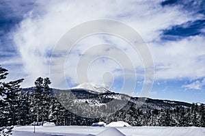 Snow covered mountains and forest at Island park Idaho photo