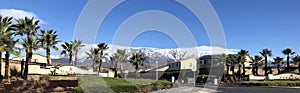 Snow and palm trees in SoCal