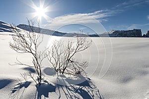 Snow panorama 5