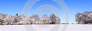 Snow panoramic landscape