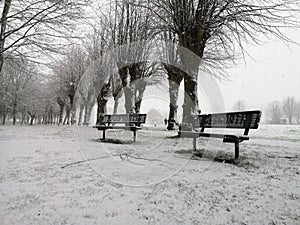 Snow in the park
