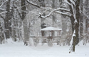 Snow in the Park in Sofia, Bulgaria Dec 29, 2014