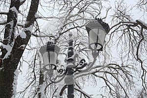 Snow in the Park in Sofia, Bulgaria Dec 29, 2014