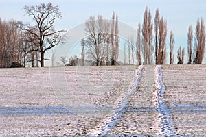 Snow path