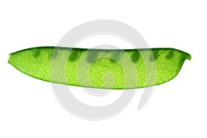 Snow Pea