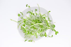 Snow pea shoots photo