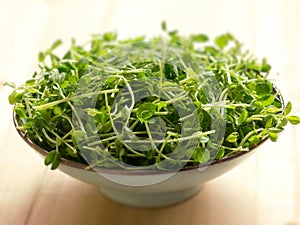 Snow pea shoots