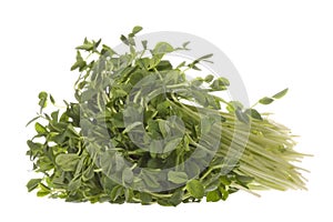 Snow Pea Sprouts Isolated