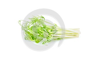 Snow pea sprouts isolated on the white background