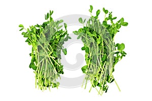 Snow Pea Sprouts