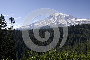 Snow peak forest mount rainier